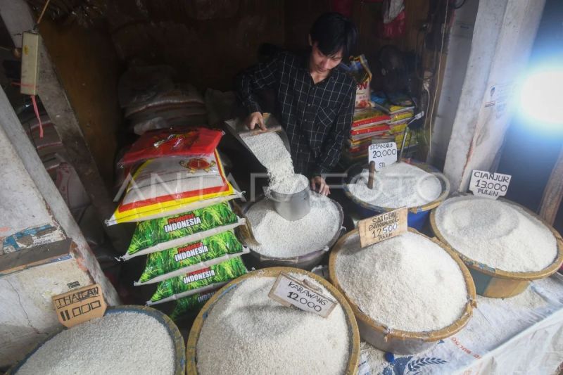 BPS: Harga beras di tingkat grosir dan eceran terus turun