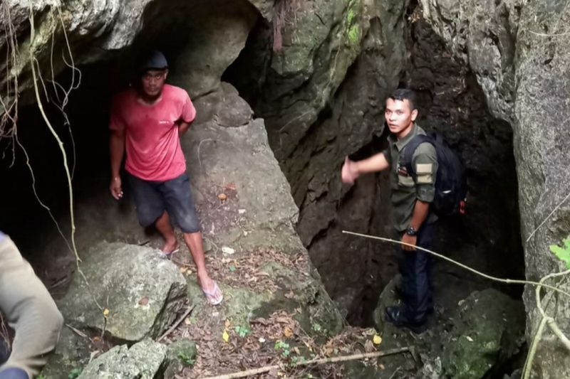 Puluhan kambing mati diserang satwa liar di Karawang