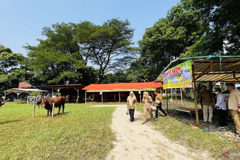 BSIP bersama Pemkot Bogor memfasilitasi peternak jual hewan kurban di BHQ