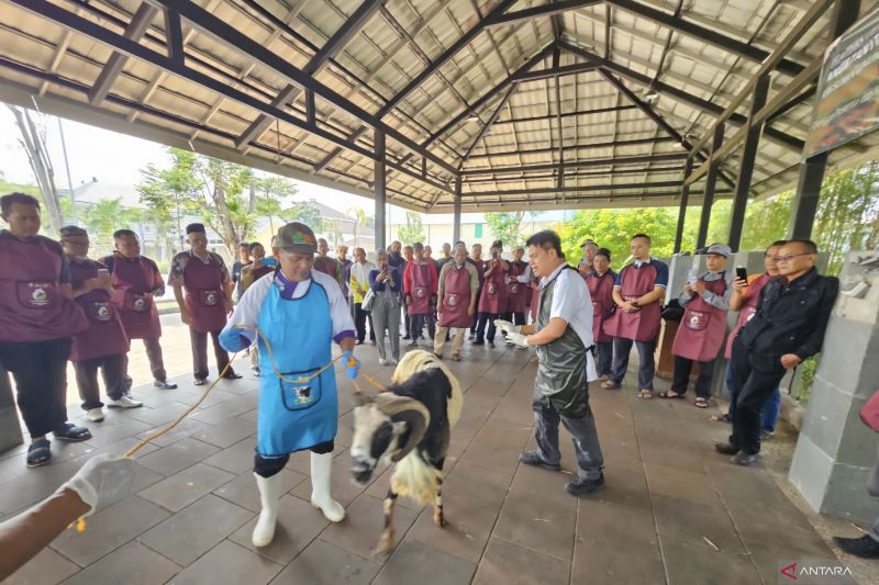 Pemkot Bandung sosialiasi penyembelihan hewan kurban menjelang Idul Adha