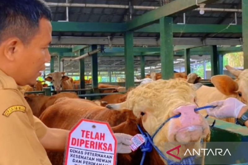 Dinas Peternakan Cianjur pasang label sehat untuk hewan kurban