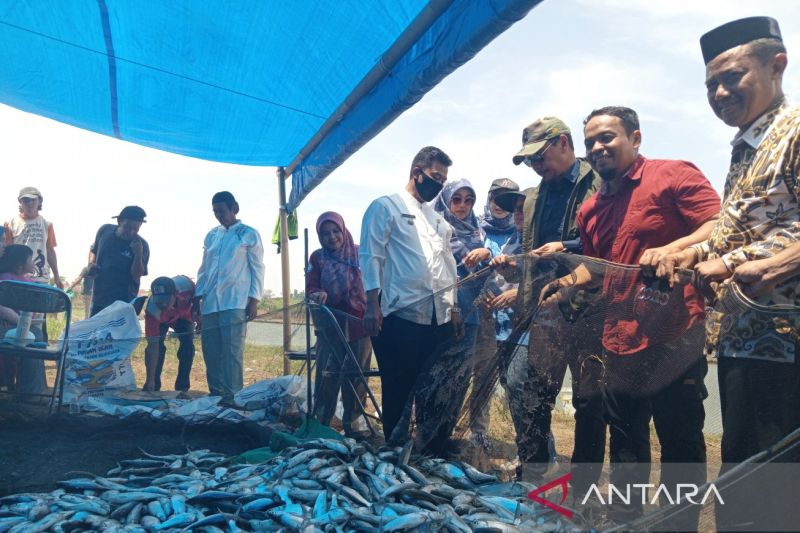 Cirebon terapkan budi daya ikan bandeng ramah lingkungan di Jatimerta