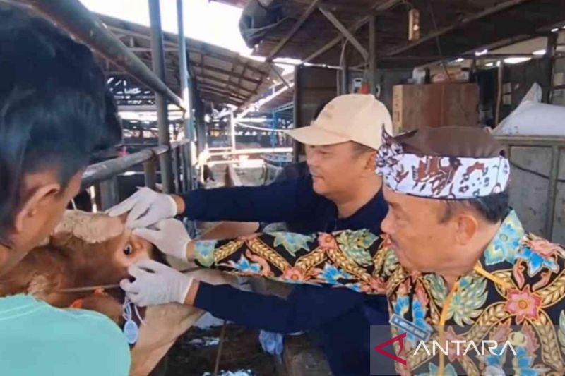 35 personel diterjunkan untuk periksa hewan kurban di Kabupaten Bekasi