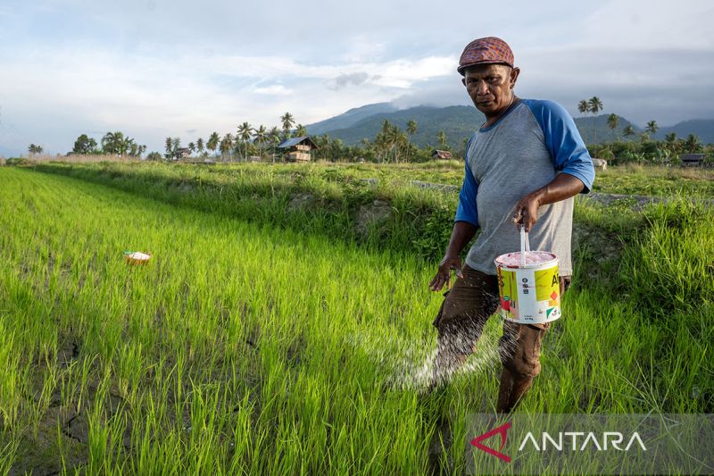 Penambahan alokasi pupuk subsidi di Sulteng