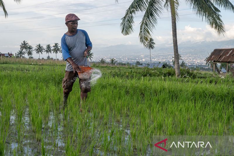 Penambahan alokasi pupuk subsidi di Sulteng