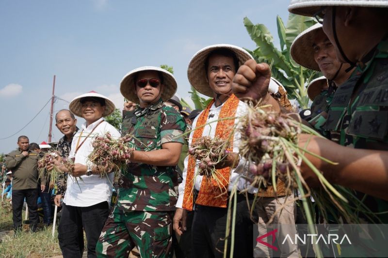 PT Pupuk Indonesia dukung produktivitas bawang merah di Cibitung Jabar
