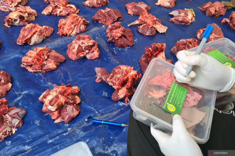 Batas aman konsumsi daging untuk hindari hipertensi