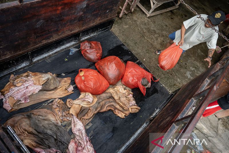 Penjualan kulit sapi hasil kurban