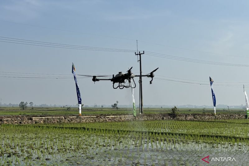 PT Petrokimia Gresik kenalkan penggunaan drone tingkatkan hasil panen di Bandung