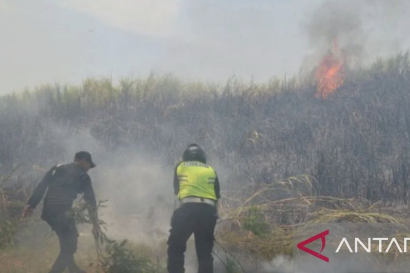 Purwakarta waspadai ancaman bencana kekeringan dan karhutla