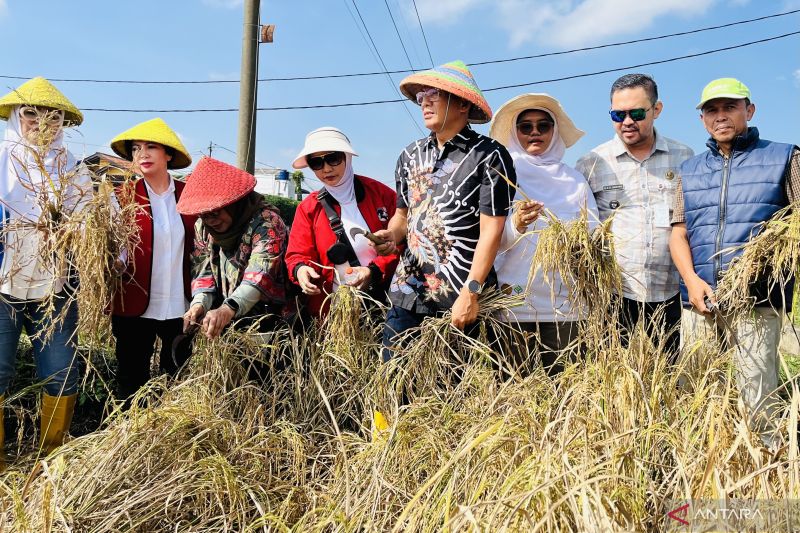 Pemkot Bogor membagikan beras Nutrizinc untuk penanganan stunting