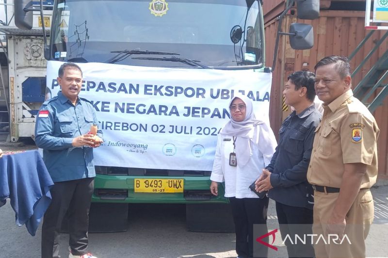 Cirebon berhasil ekspor ubi jalar ke Korea dan Jepang