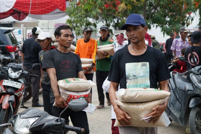 Indramayu salurkan 5 ton benih padi unggul untuk petani