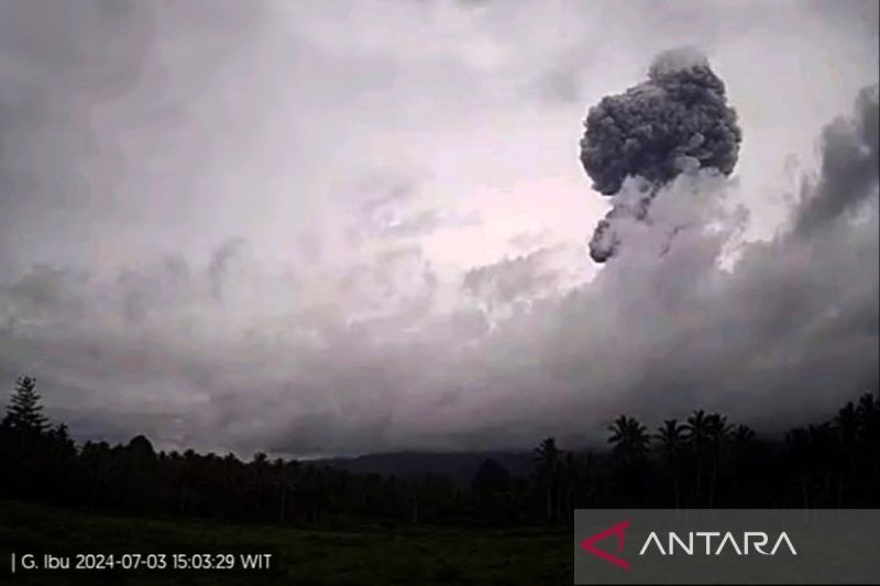 Gunung Ibu Erupsi Muntahkan Abu Setinggi 3.000 Meter - ANTARA News