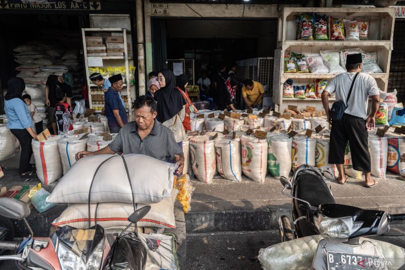 BPS catat harga beras di penggilingan naik 11,19 persen pada Agustus 2024