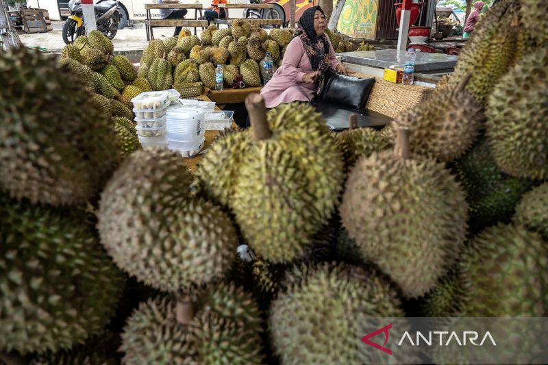 Percepatan ekspor buah durian dari Sulteng