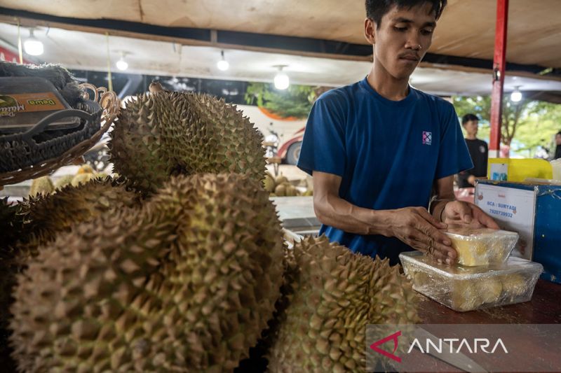 Percepatan ekspor buah durian dari Sulteng