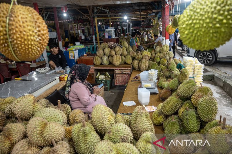 Percepatan ekspor buah durian dari Sulteng