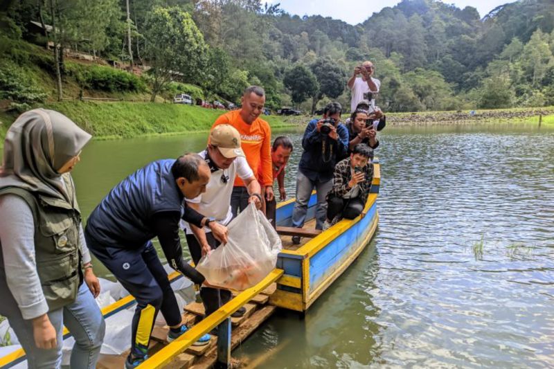 Kuningan tebar 10.000 benih ikan di Situ Walukut