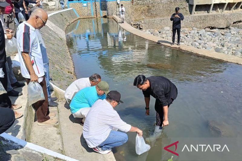 Pemkab Cianjur menebar 60 ribu bibit ikan ke sungai dalam rangka HJC