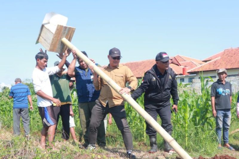 Kuningan gencarkan program rubuha untuk kendalikan hama tikus