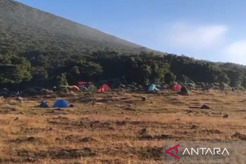 TNGGP catat penurunan suhu udara di kawasan Gunung Gede