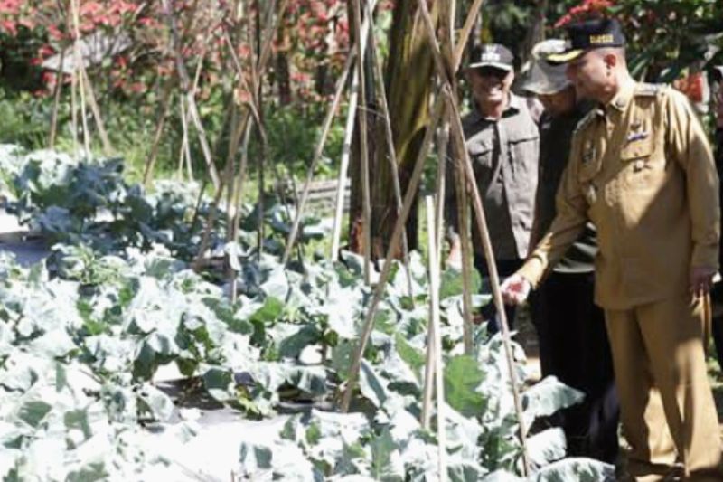 Pemkab Subang ajak petani menjaga produktivitas produk lokal