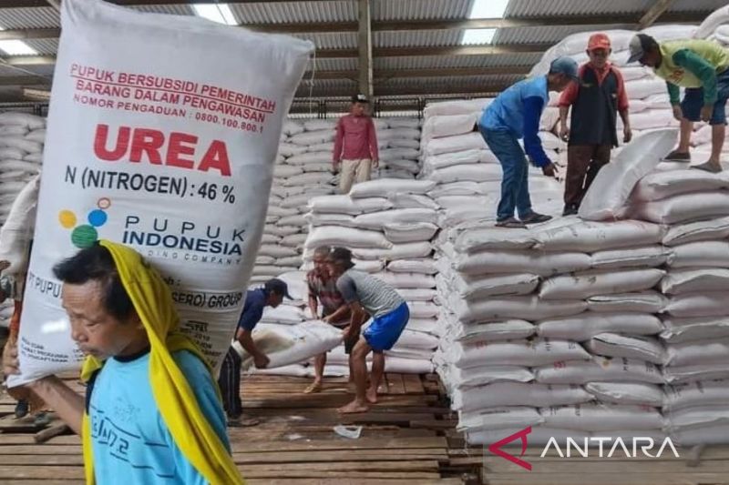 DTPHPKP Cianjur menunggu sosialisasi perubahan skema subsidi pupuk