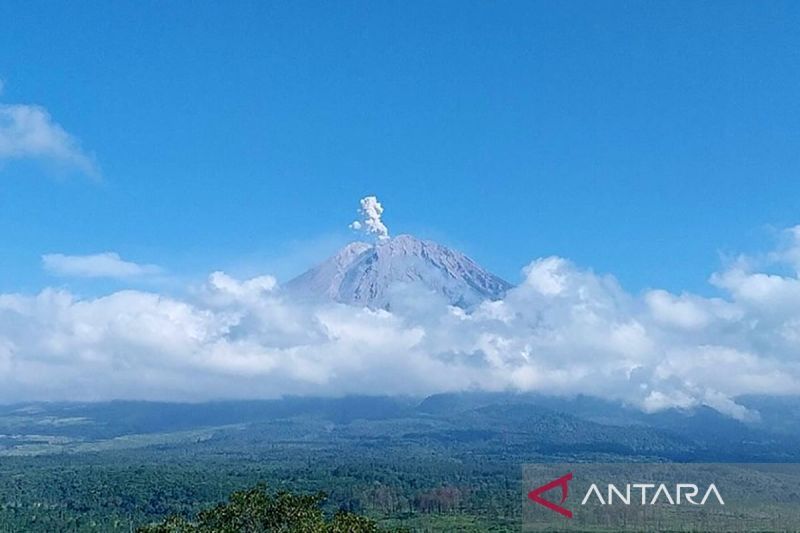 Gunung Semeru Erupsi Dengan Letusan Setinggi 600 Meter - ANTARA News