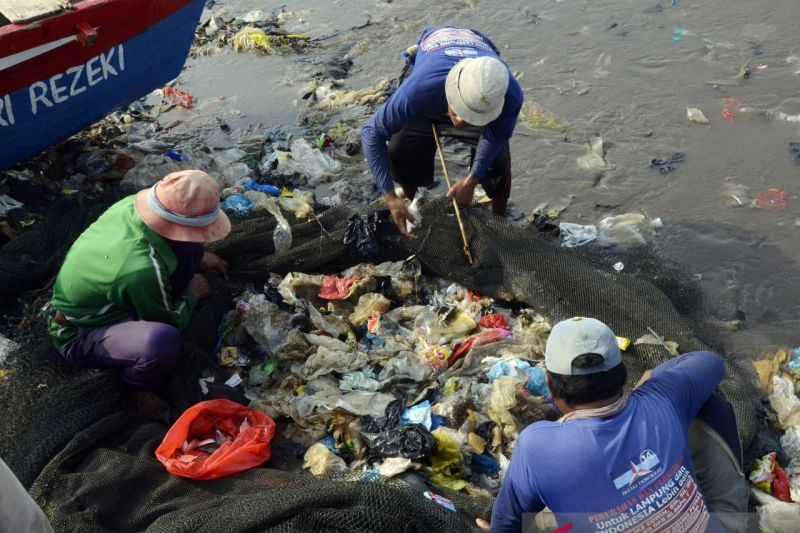 Menjaring ikan bercampur sampah di Bandar Lampung