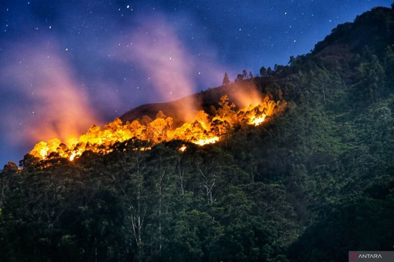 Kebakaran hutan lereng Gunung Sipiso-piso