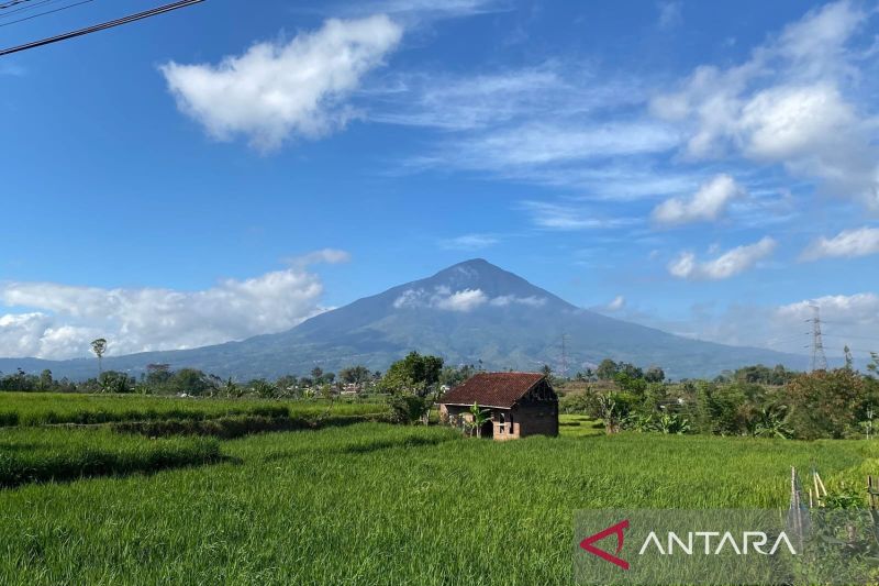 Dispertan Garut berupaya selamatkan lahan pertanian dengan pompanisasi