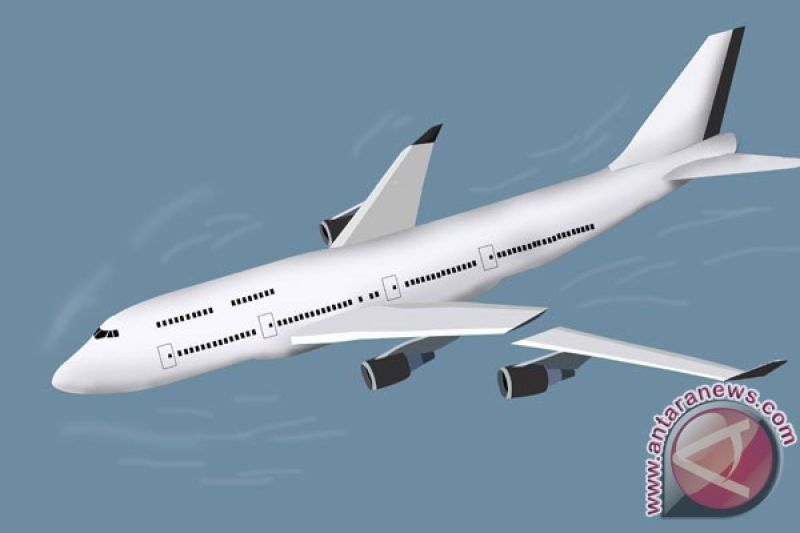Pesawat Air India tujuan Inggris dikabarkan jatuh di India barat, membawa 242 orang