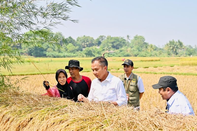 Bey mendapati kreativitas petani saat tinjau potensi kekeringan di Bogor