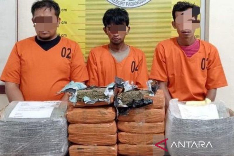 Pengiriman 10 bal ganja ke Bekasi digagalkan Polres Padangsidimpuan