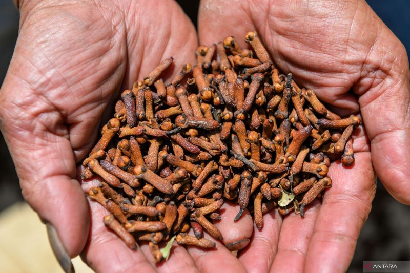 Ekonomi kemarin, zat radioaktif pada cengkih sampai merger 15 BUMN asuransi