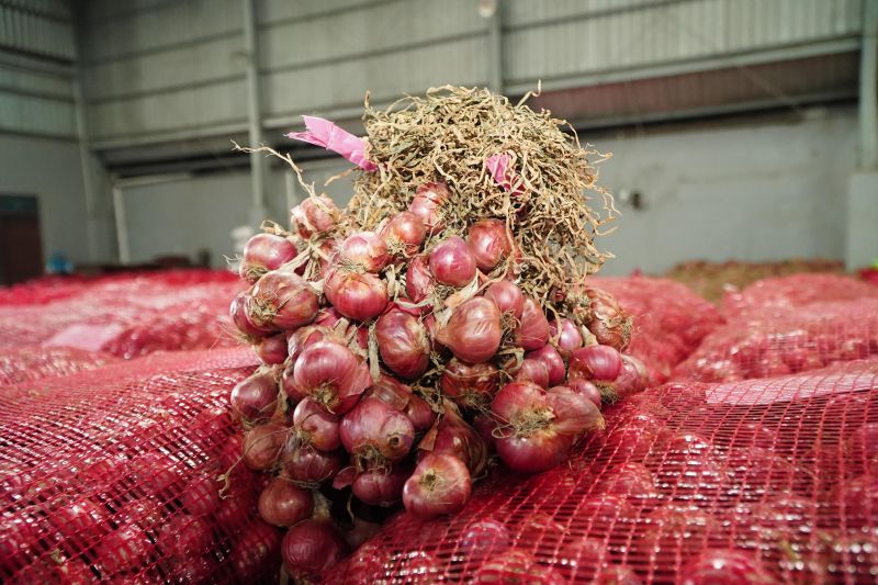 Harga bawang merah bertahan di level Rp26.620 per kg