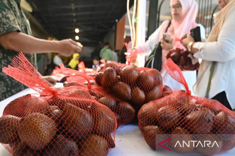 Ekspose produk pertanian dan pasar tani di Palu