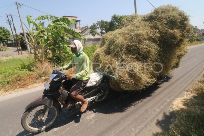 Pertumbuhan positif ekonomi Jatim