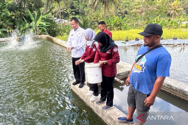 Pengembangan SFV Ciamis memberi tambahan pendapatan hingga 400 persen