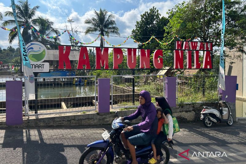 Ciamis ditargetkan menjadi kabupaten ikan nila terbesar di Indonesia