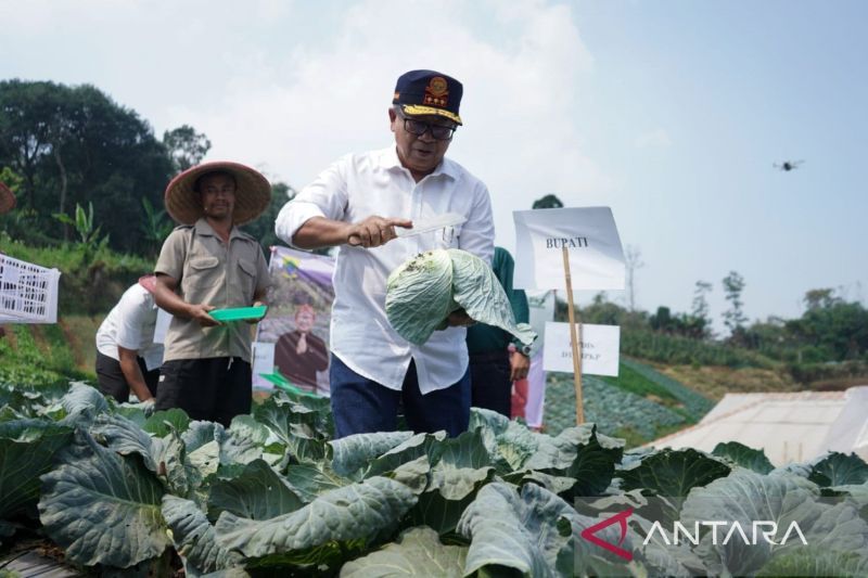 Kementan dukung Cianjur sebagai penyuplai komoditi Program Makan Siang Gratis