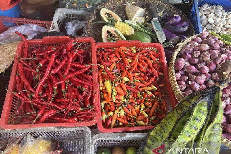 Harga pangan Senin mayoritas turun, cabai rawit jadi Rp52.900/kilogram