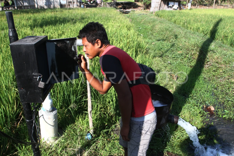 Listrik masuk sawah di Ngawi