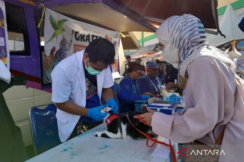 Diskannak Garut menyiapkan 3.000 dosis vaksin cegah penularan rabies