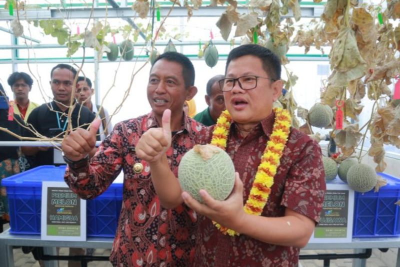 Kuningan bentuk destinasi wisata baru dengan konsep agrowisata