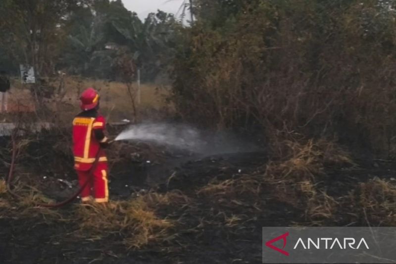 Damkar Cianjur tuntaskan penanganan kebakaran lahan di 4 lokasi