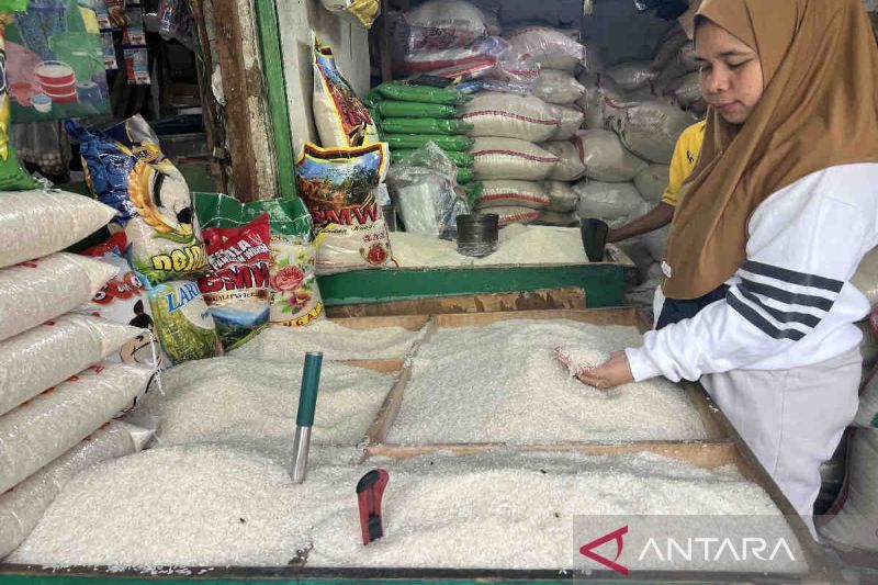 Harga pangan fluktuatif, beras premium stabil Rp15.520 per kg