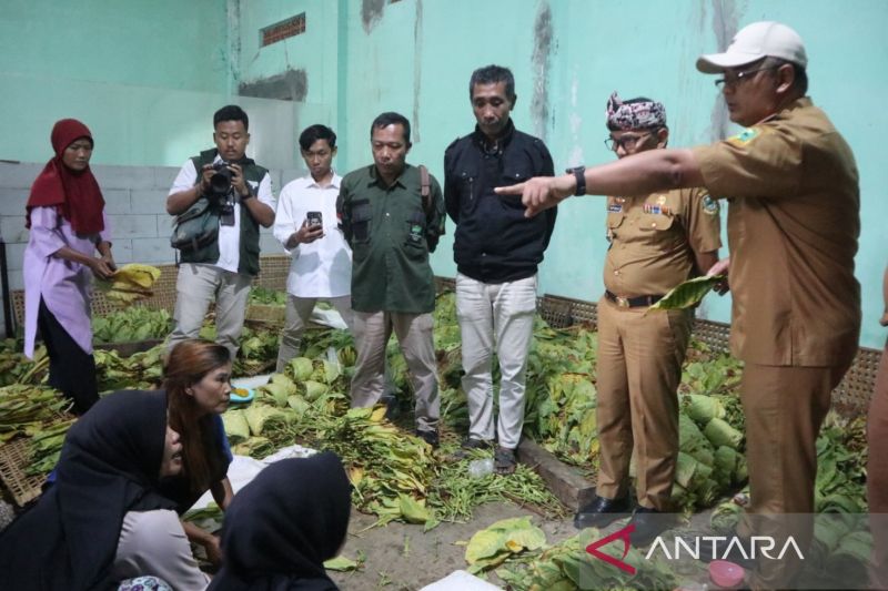 Kuningan gelar pelatihan untuk regenerasi petani tembakau