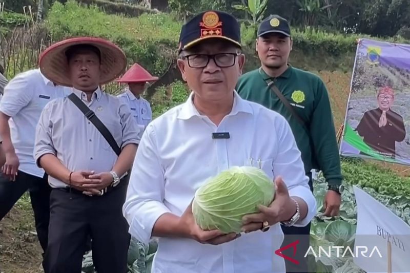 Pemkab Cianjur perintahkan desa membangun lumbung padi